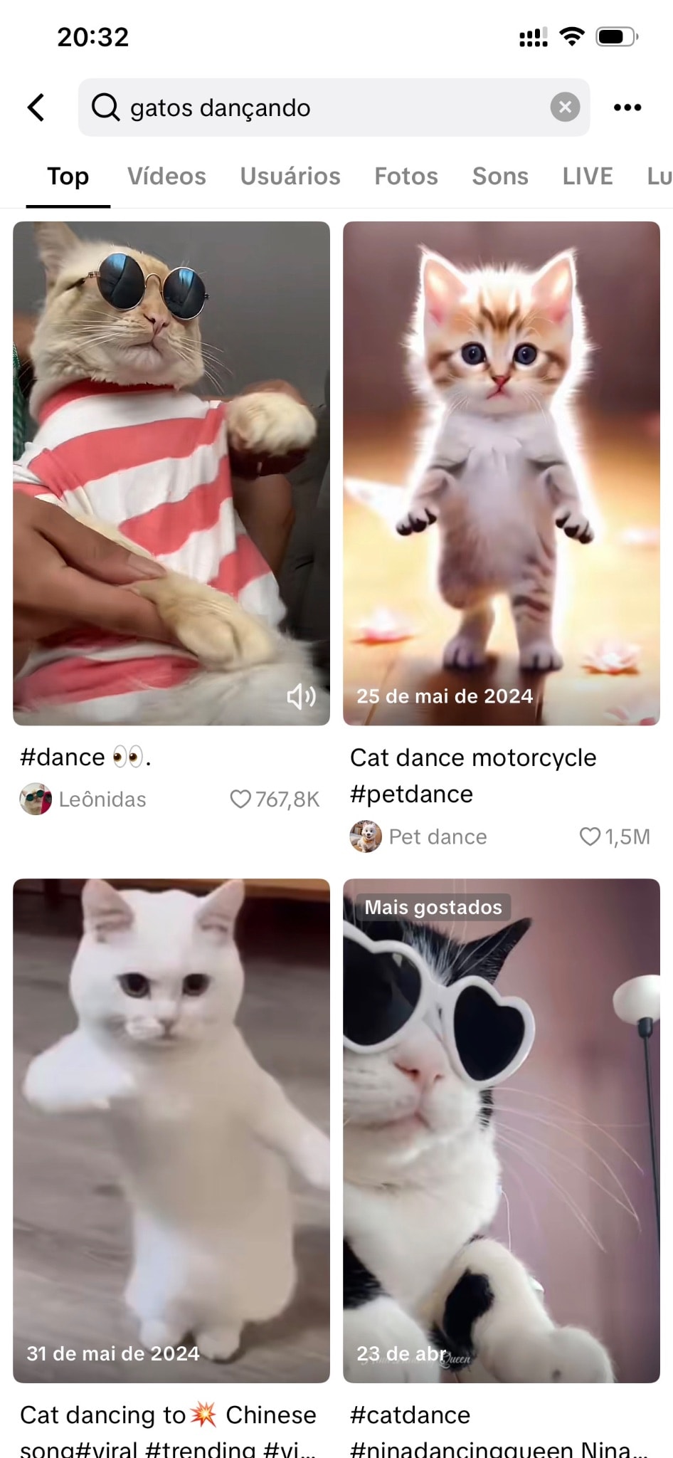 Imagem ilustrativa de gatos em trends no TikTok