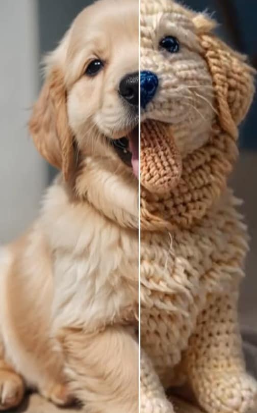 Modelo de Vídeo no Filmora