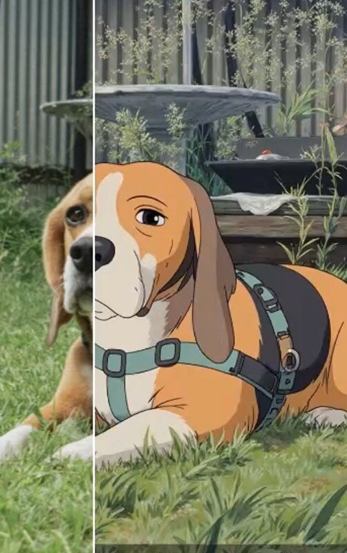 Modelo de Vídeo no Filmora