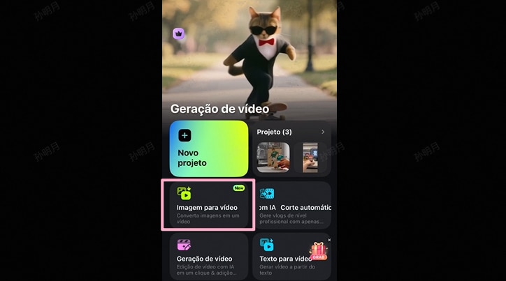 ki katze video erstellen schritt 1