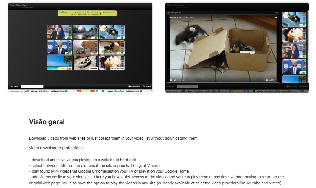 interface do Video Downloader Professional no navegador Chrome