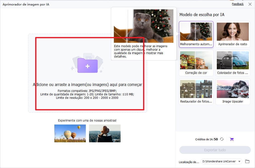 adicionar arquivos ao intensificador de imagem ai