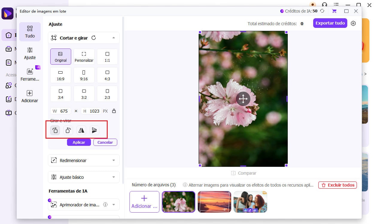 girar imagem passo 3